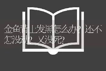 金鱼背上发黑怎么办？还不怎没动？又没死？