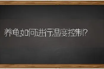 养龟如何进行温度控制？