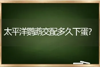 柴犬什么时候引进国内的？