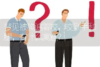 梦见被狗追着咬，咬到手和腿，有什么寓意？