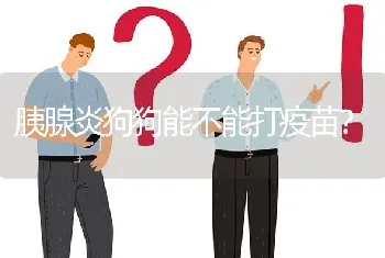 胰腺炎狗狗能不能打疫苗？