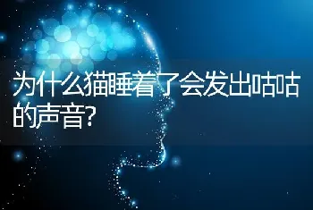 为什么猫睡着了会发出咕咕的声音？