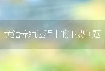 黄鳝养殖过程中的主要问题