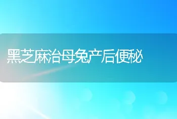 黑芝麻治母兔产后便秘