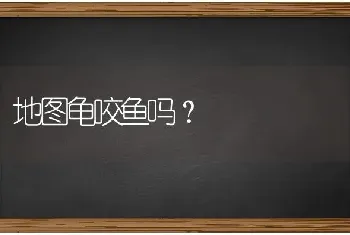 地图龟咬鱼吗？