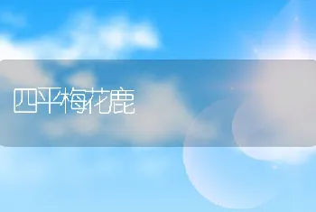 四平梅花鹿