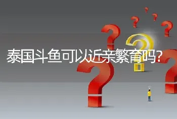 泰国斗鱼可以近亲繁育吗？