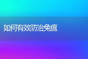 如何有效防治兔瘟