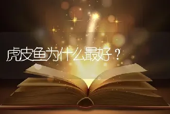 虎皮鱼为什么最好？