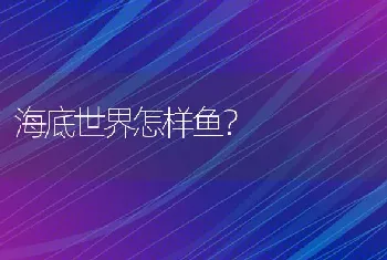 海底世界怎样鱼？