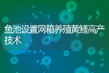 鱼池设置网箱养殖黄鳝高产技术