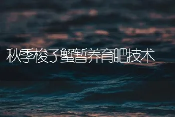 秋季梭子蟹暂养育肥技术