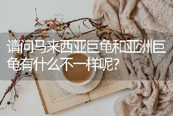 狗怀孕了好几周了大概什么时候生小狗？