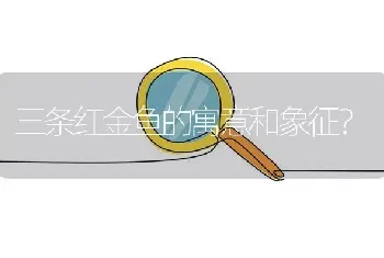 三条红金鱼的寓意和象征？