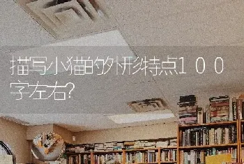 描写小猫的外形特点100字左右？