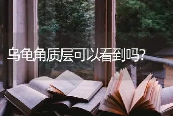 乌龟角质层可以看到吗？