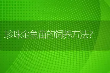 珍珠金鱼苗的饲养方法？