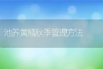 池养黄鳝秋季管理方法