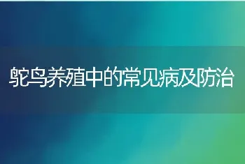 鸵鸟养殖中的常见病及防治