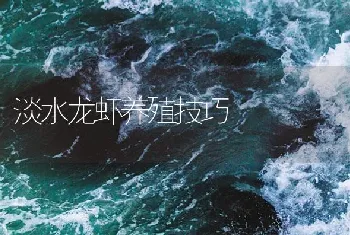 淡水龙虾养殖技巧