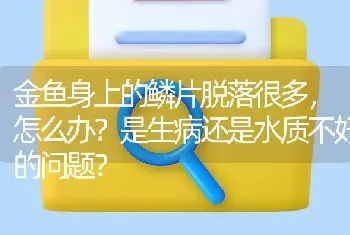 金鱼身上的鳞片脱落很多，怎么办？是生病还是水质不好的问题？