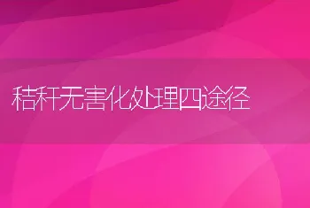 仔兔黄尿病的防治