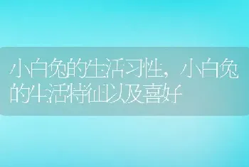 小白兔的生活习性，小白兔的生活特征以及喜好