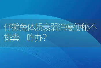 仔獭兔体质衰弱消瘦便秘不排粪咋办？