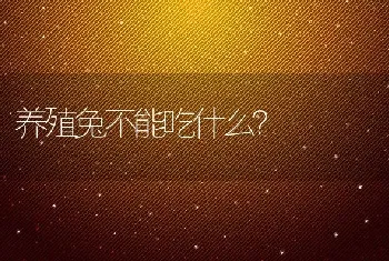 养殖兔不能吃什么？