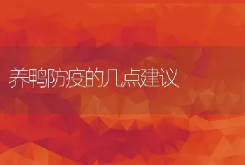 黄鳝养殖实用技术