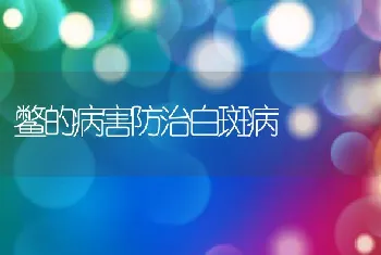 鳖的病害防治白斑病