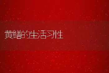 黄鳝的生活习性