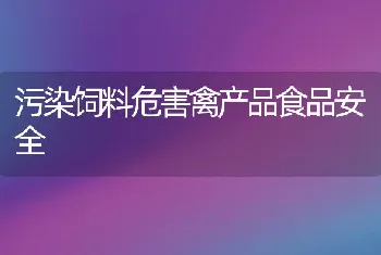 污染饲料危害禽产品食品安全