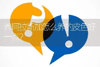 养阿拉斯加怎么养的皮色好一点？