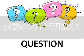 东德牧羊犬几个月开始凶？