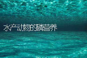 水产动物的磷营养