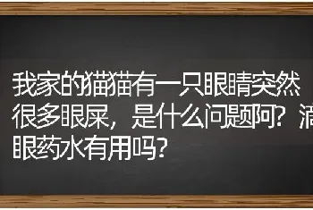 我家的猫猫有一只眼睛突然很多眼屎，是什么问题阿?滴眼药水有用吗？