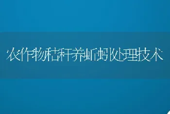 春季池塘青虾的养殖管理