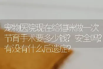 宠物医院现在给猫咪做一次节育手术要多少钱?安全吗?有没有什么后遗症？