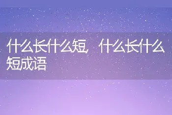 什么长什么短，什么长什么短成语