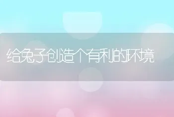 给兔子创造个有利的环境