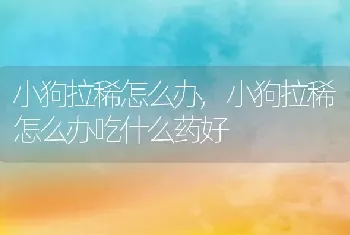 小狗拉稀怎么办，小狗拉稀怎么办吃什么药好