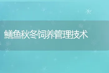 鳝鱼秋冬饲养管理技术