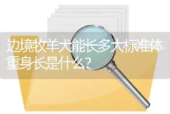 37天的拉布拉多有多重？