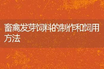 畜禽发芽饲料的制作和饲用方法