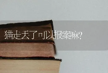 猫走丢了可以报案嘛？