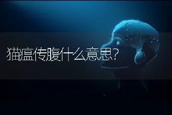 猫瘟传腹什么意思？