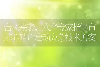 台风来袭，水产专家指导市郊养殖户启动应急技术方案