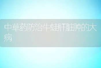 蛋用鸡饲养管理上应注意的问题