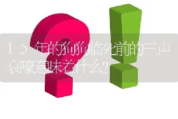 15年的狗狗临死前的三声哀嚎意味着什么？